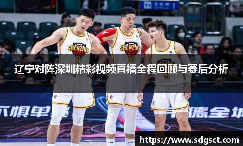 辽宁对阵深圳精彩视频直播全程回顾与赛后分析